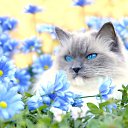 ���� ��������, ������� - ��������� 14 ������ 2020 � ������ ���� ����������