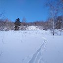 ���� �����������, ���������, 66 ��� - ��������� 25 ������� 2020 � ������ ���� ����������