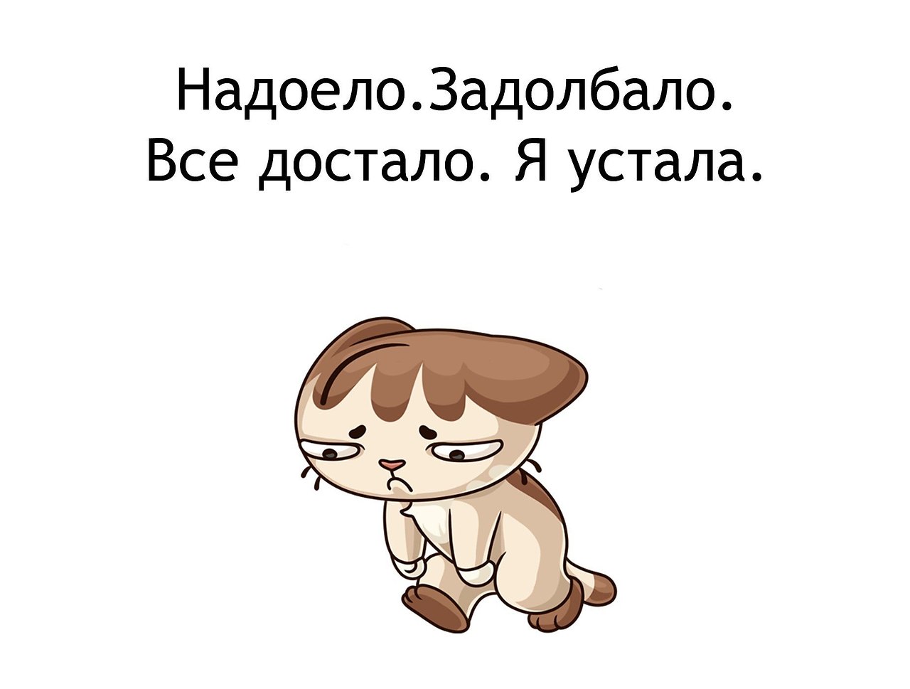   - 31  2020  18:40