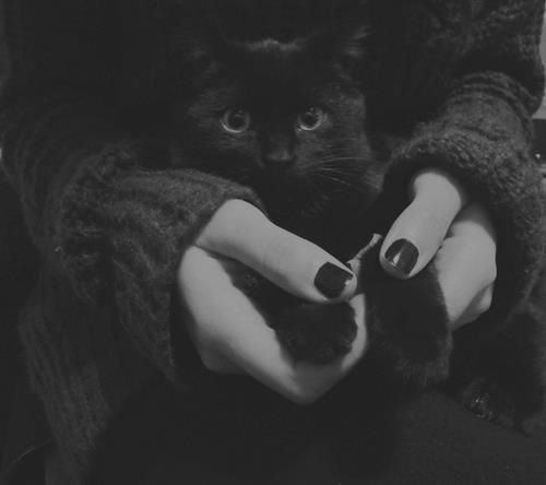 Анна Гончарова.Ну, что ты смотришь на меня???Да, я плохая!!!!!Меня с огня, да в полымяВедёт ...