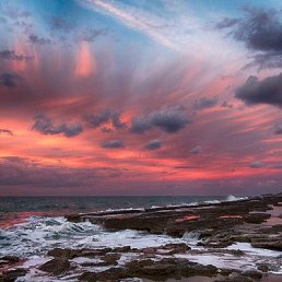 �, ������, 48 ���