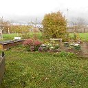  ,  -  19  2020    ))))