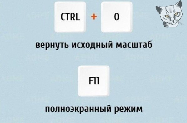      - 2