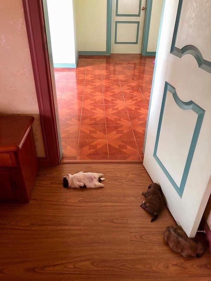  -  ?    ,   - 2