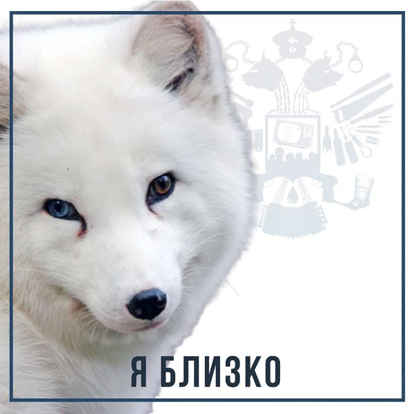 Igor - 4 ������ 2020 � 20:34