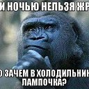 ���� ���������, �������� - ��������� 23 ������ 2020 � ������ ���� ����������