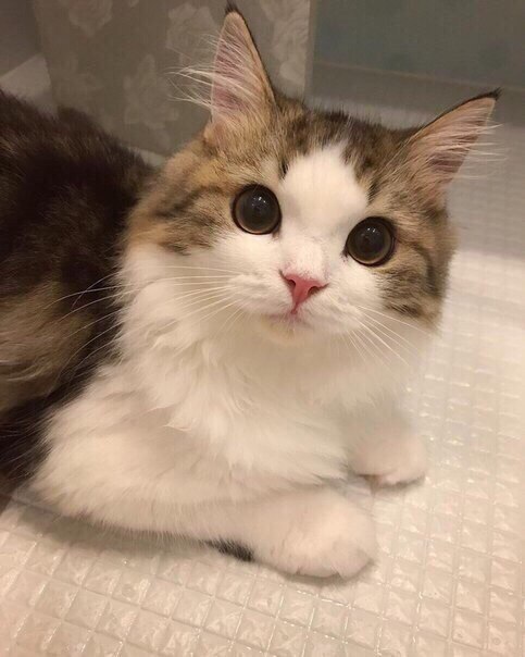       :3 - 2