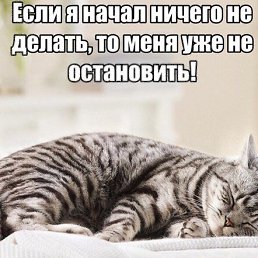 ���� Aleks, ������� - ��������� 24 ����� 2020