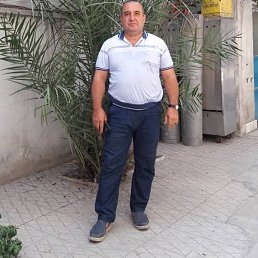 Aqib, , 61 