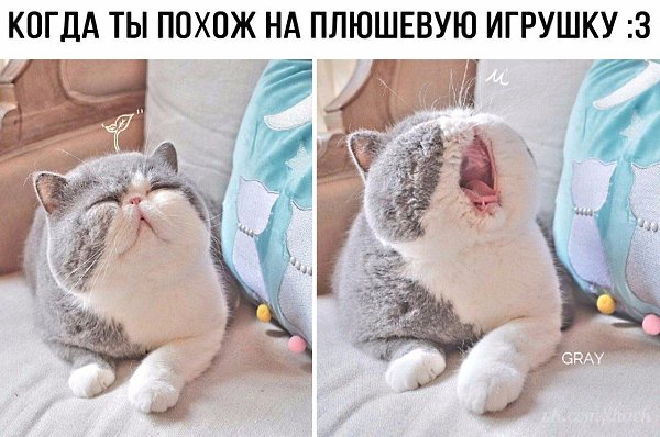 ������� - 10 ������ 2020 � 19:13