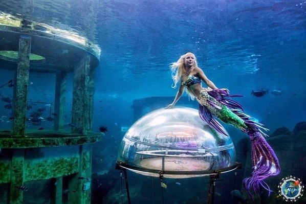  peep pe p  pe Ce.    p e? - 8