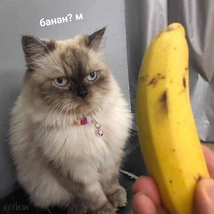      :