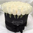  Stranger Wanderer, , 46  -  14  2020    