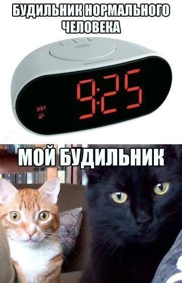    - 2  2020  19:06