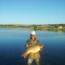 ���� ������, �������� - ��������� 14 ��� 2020 � ������ ���� ����������