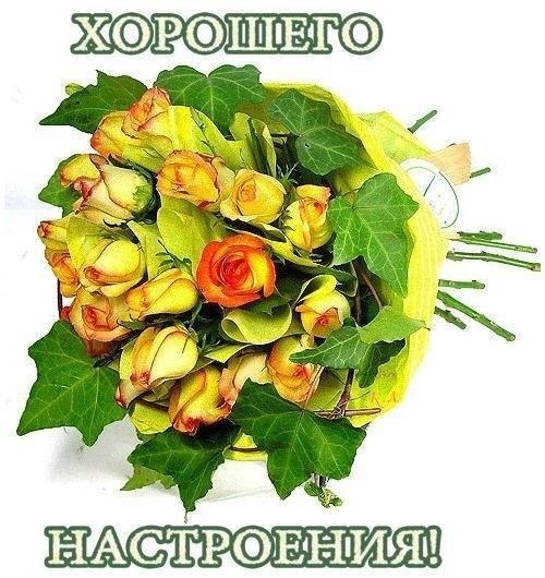 ПРИВЕТСТВИЯ и ПОЖЕЛАНИЯ, открытки на каждый день. - 11 мая 2020 в 16:31