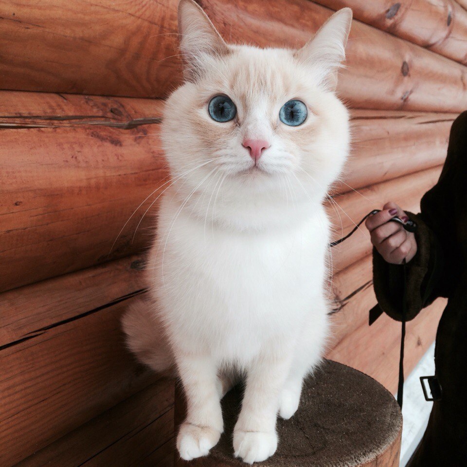    .      ,      .   ...