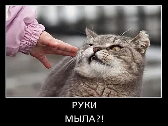  ,     ...