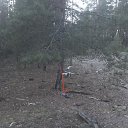 ���� ������, ������ ��������, 47 ��� - ��������� 22 ������ 2020