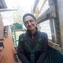 ���� ���������, ������ - ��������� 2 ��� 2020 � ������ ���� ����������