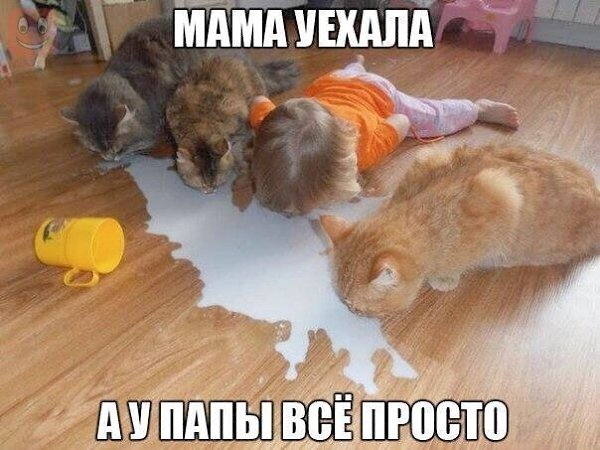    - 2  2020  19:06