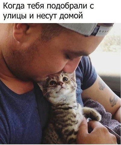 ������� - 11 ������ 2020 � 19:13