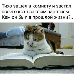 Alex, ������-��-����