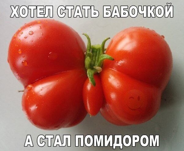 ������� - 21 ����� 2020 � 19:01