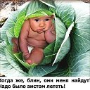 ���� ����, �����-���������, 64 ���� - ��������� 4 ������ 2020 � ������ ���� ����������