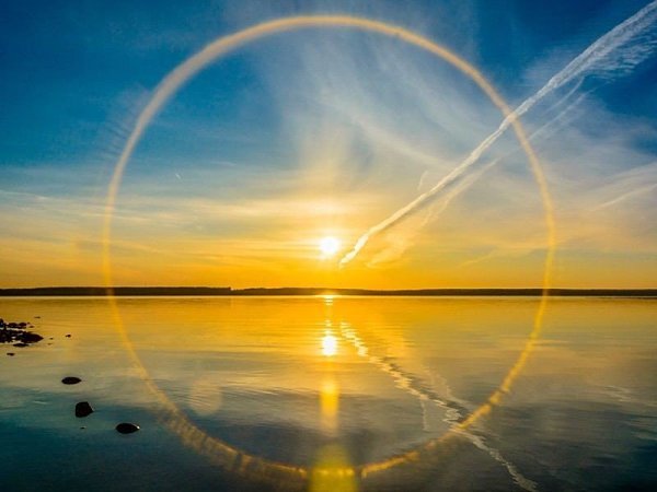   . ,    ,  ,       . ...