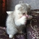 ���� ����, ������ �����, 70 ��� - ��������� 9 ������� 2020 � ������ ���� ����������