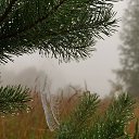 ���� �������, ���������, 67 ��� - ��������� 25 ������� 2020 � ������ ������ ��������