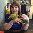 ���� �����, ����� - ��������� 13 ����� 2020 � ������ ���� ����������