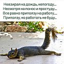 ���� �������, ������, 49 ��� - ��������� 13 ������� 2020 � ������ ������ ��������