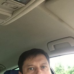 ���� ����, ������, 41 ��� - ��������� 31 ��� 2020