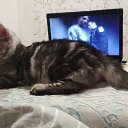 ���� ������ ������, ���!, 37 ��� - ��������� 19 ������ 2020 � ������ �����