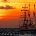 ���� �����, �������, 52 ���� - ��������� 28 ������� 2020 � ������ ���� ����������