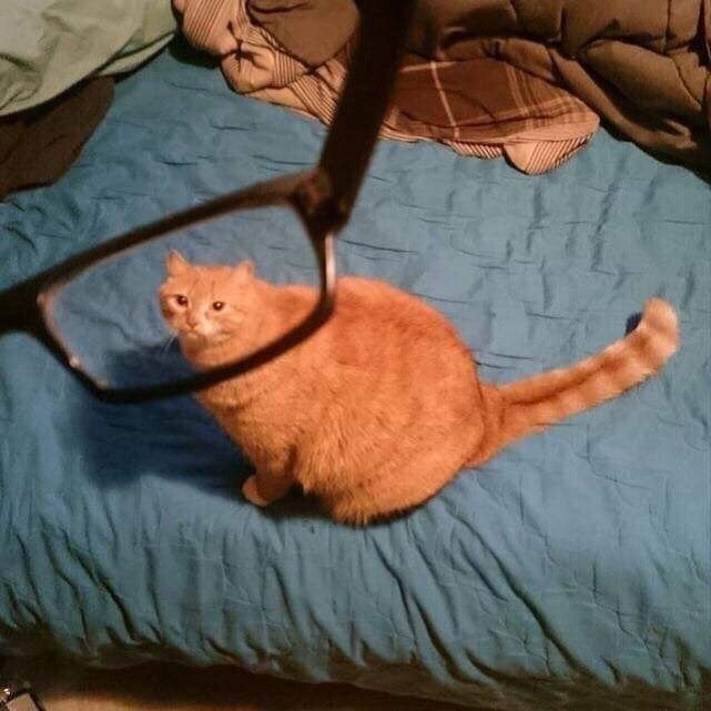 ,     -   - 5
