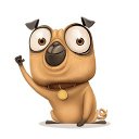  , -, 55  -  11  2020