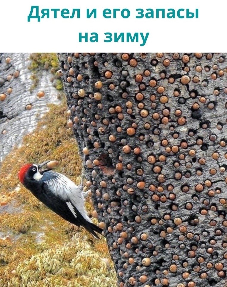 LIFE -  - 22  2020  19:06