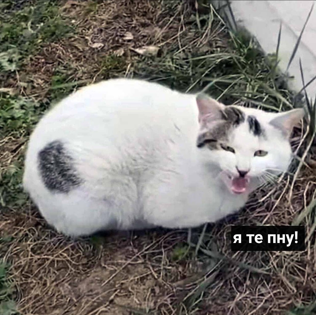      - 3