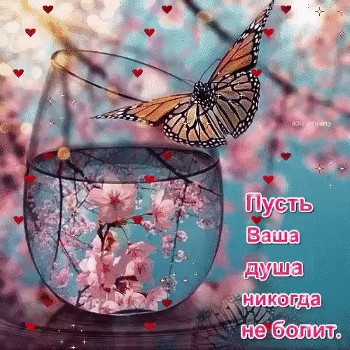 ПРИВЕТСТВИЯ и ПОЖЕЛАНИЯ, открытки на каждый день. - 23 апреля 2020 в 14:17 - 4