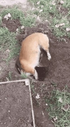  .. - 2