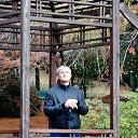 ���� ���������, ����, 50 ��� - ��������� 7 ���� 2020 � ������ ���� ����������