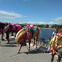 ���� ����, �����, 60 ��� - ��������� 13 ������ 2020 � ������ ���� ����������