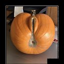 ���� ������, ������, 41 ��� - ��������� 27 ������� 2020 � ������ ���� ����������