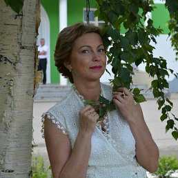 �����, �������, 53 ����