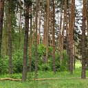 ���� Ivan, �������, 46 ��� - ��������� 30 ��� 2020 � ������ ������ ��������