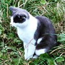 ����� �� ������� �������