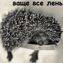 ���� ������, ������, 48 ��� - ��������� 3 ���� 2020 � ������ ���� ����������